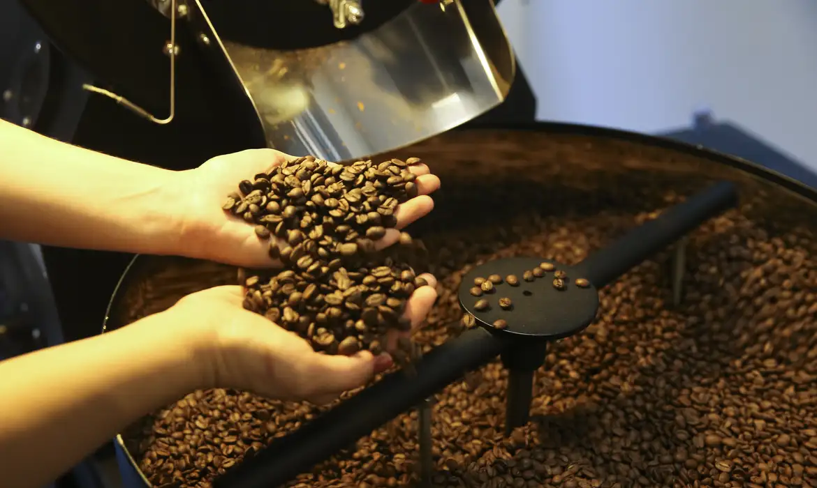 Produção de café deve fechar 2026 com 67,6 milhões de sacas, maior da série histórica — Agência Gov