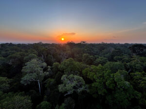 Rádio Nacional do Alto Solimões destaca Dia da Amazônia nesta sexta (4) — Agência Gov Rádio Nacional do Alto Solimões destaca Dia da Amazônia nesta sexta (4) — Agência Gov