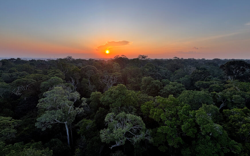 Rádio Nacional do Alto Solimões destaca Dia da Amazônia nesta sexta (4) — Agência Gov