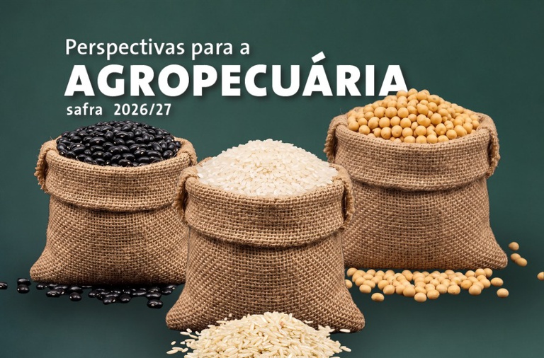 Safra de grãos 2026/27 deve atingir 366,6 milhões de toneladas. Projeção é da Conab — Agência Gov
