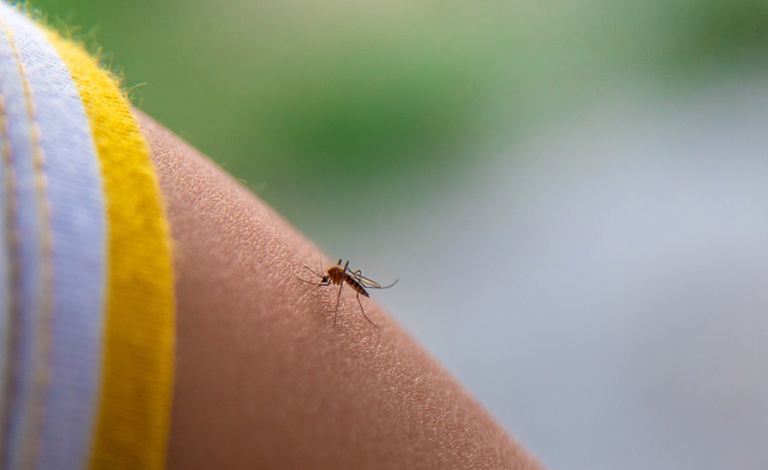 saiba mais sobre infecção rara que já tem casos confirmados no Brasil — Agência Gov
